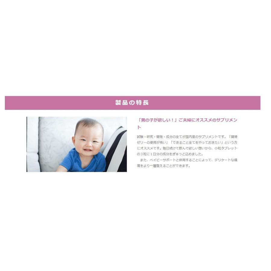 ベイビーサポート BSリンカル for boy 90粒入×2本セット 葉酸 