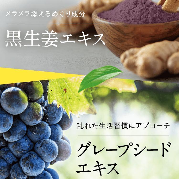 リカボ サプリ Re-CABO ダイエット 30粒 2袋セット クレオ製薬
