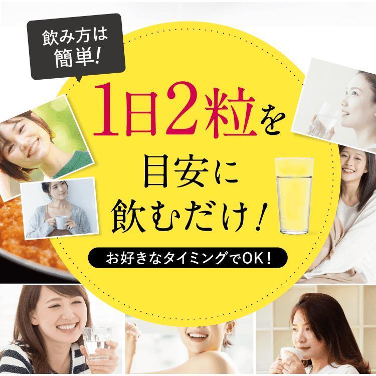 リカボ サプリ Re-CABO ダイエット 30粒 2袋セット クレオ製薬