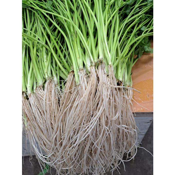 送料無料 古川農園 三関産せり 3束 気温に応じて通常便とクルー便を