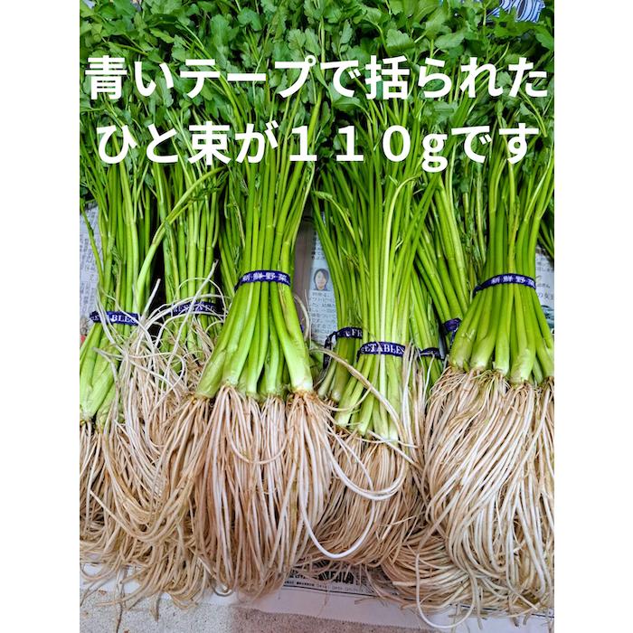 送料無料 古川農園 三関産せり 3束 気温に応じて通常便とクルー便を
