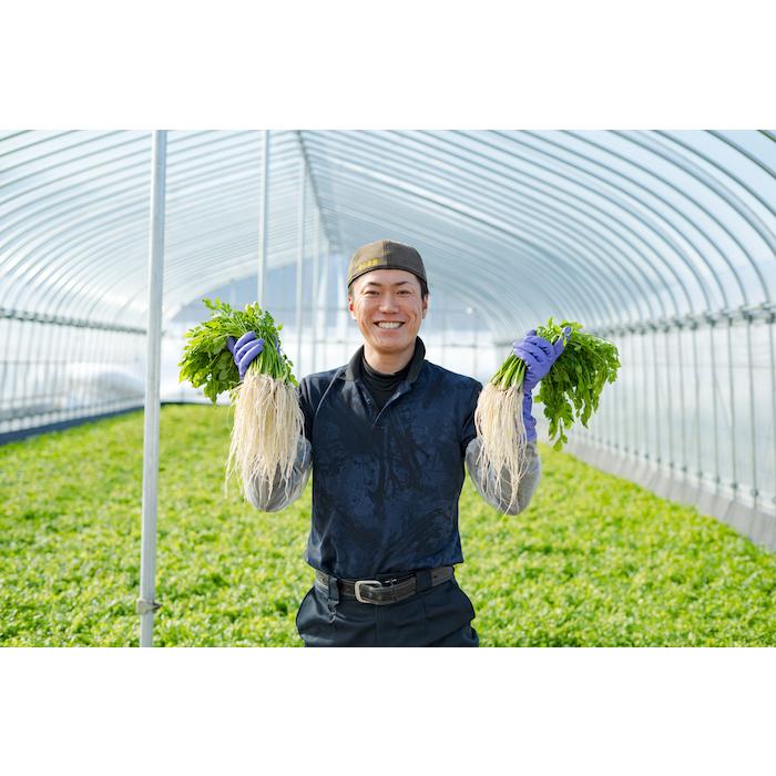 送料無料 CRAS 三関産せり 30束 気温に応じて通常便とクルー便を 