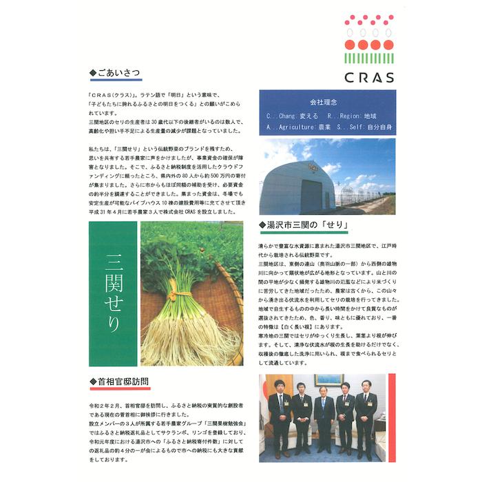 送料無料 CRAS 三関産せり 30束 気温に応じて通常便とクルー便を 