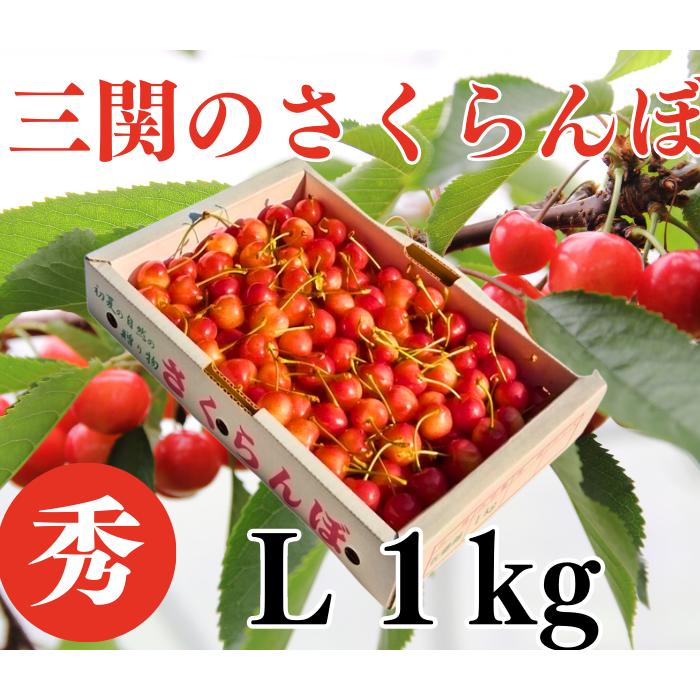 送料無料 さくらんぼ 佐藤錦 秀 Ｌ 以上 1kg 湯沢市三関 マルヤ佐藤