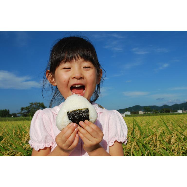 送料無料 令和５年度米 渡部浩見 漢方農法 特別栽培米 ゆめおばこ ３００g ３パック｜akitabo-no｜07