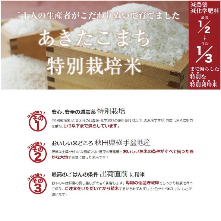 あきたこまち 米10kg 令和7年産 特別栽培米 (2kg×5袋 ） 白米 精米済