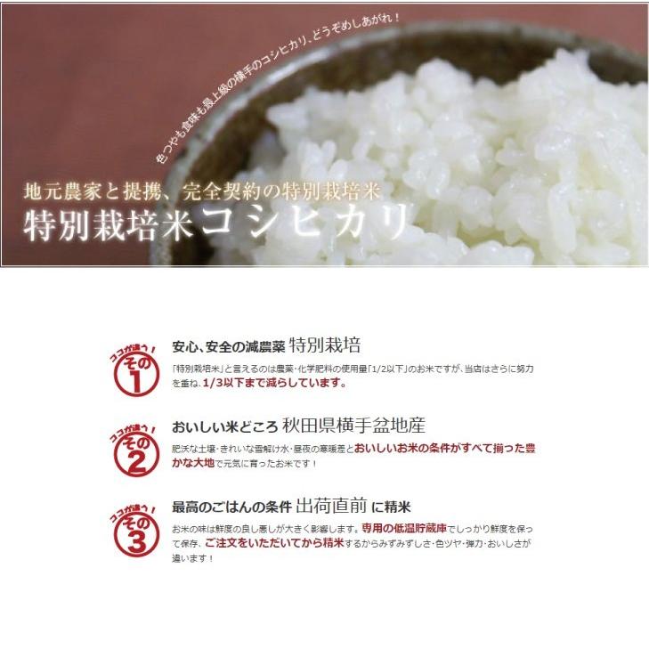 令和5年産 秋田 コシヒカリ 白米 精米済 5kg 愛和自然農法研究会 減農薬 減化学肥料 送料無料｜akitagourmetmenke｜02