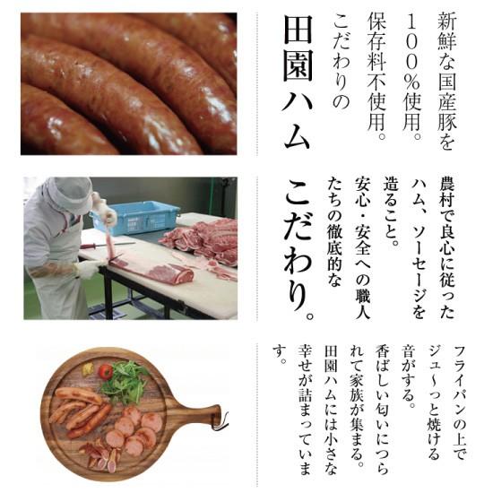 田園 ハムセット 贈答品 ギフト 秋田 DN-52 MIKKEオリジナル 贈答品 送料無料｜akitagourmetmenke｜03