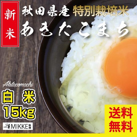 令和5年産 新米 米農家の店長が選ぶ 秋田 県南 あきたこまち 特別栽培米 15ｋｇ 送料無料｜akitagourmetmenke