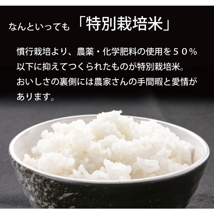 令和5年産 新米 米農家の店長が選ぶ 秋田 県南 あきたこまち 特別栽培米 15ｋｇ 送料無料｜akitagourmetmenke｜04