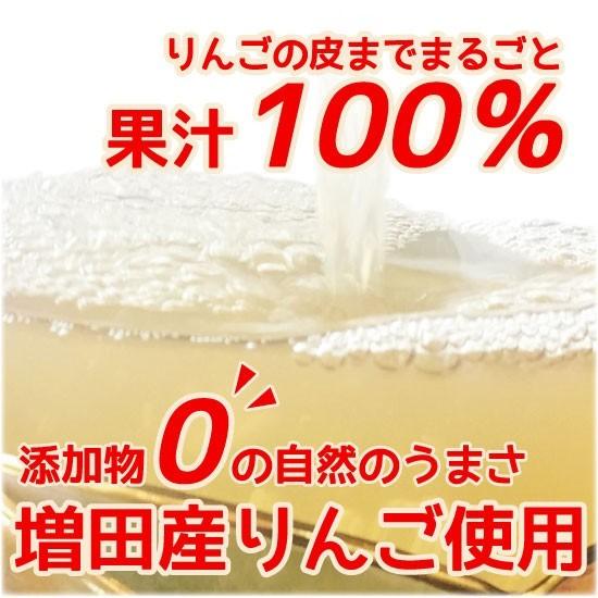 ネコポス JA秋田ふるさと 無添加100％りんごジュース5個入 引っ越し