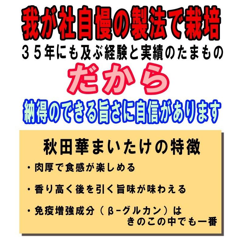 秋田華まいたけ　秋田県産　生まいたけ　1カブ |  | 04