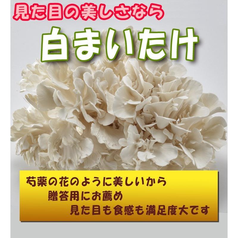 秋田華まいたけ　秋田県産　生まいたけ　1カブ |  | 05