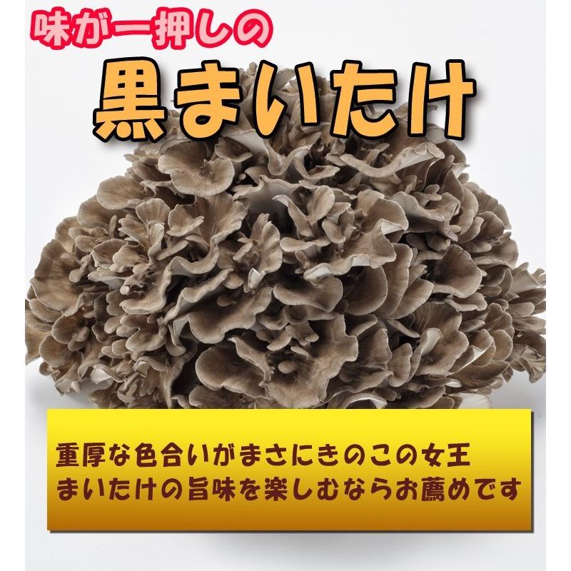 秋田華まいたけ　秋田県産　生まいたけ　1カブ |  | 07