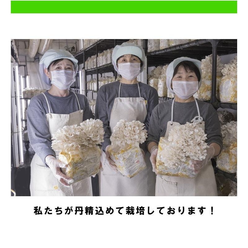 秋田華まいたけ　秋田県産　生まいたけ　1カブ |  | 10