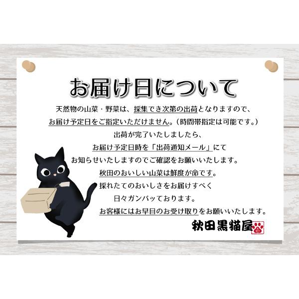 完全予約販売】【新米・精米】令和6年度産・秋田県産ゆめおばこ 完全予約販売】【新米・精米】令和6年度産・秋田県産ゆめおばこ