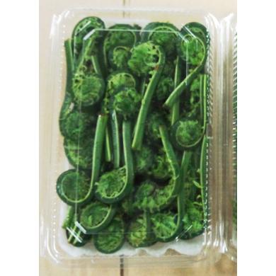 完全予約販売】秋田の天然山菜「生こごみ」250g【天然物のため 完全予約販売】秋田の天然山菜「生こごみ」250g【天然物のため