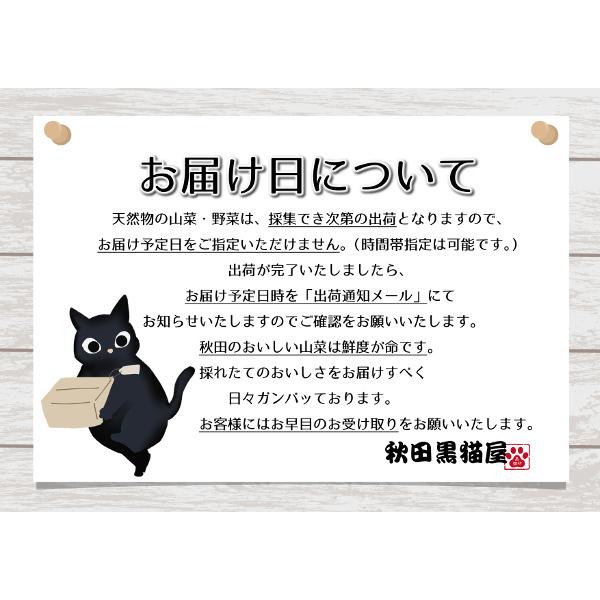 【完全予約販売】秋田の天然山菜「こしあぶら」150g【天然物のため日付指定不可】【4月中旬〜5月中旬出荷】｜akitakuronekoya｜08