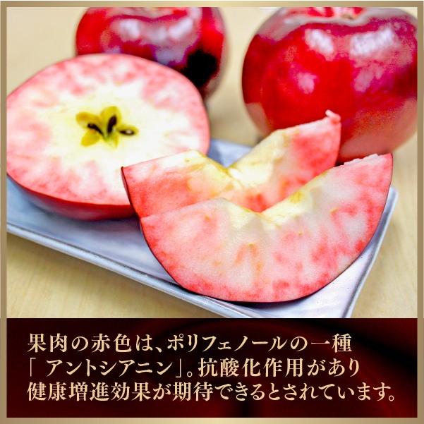 紅のりんご フルーツソース 神様がくれたリンゴ 紅の夢 の真っ赤なソース 着色料不使用 秋田県産リンゴ Fruits Sauce モアガーデンプレイス 通販 Yahoo ショッピング
