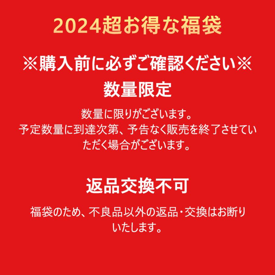 福袋 2024年 新春福袋 厳選商品4点 闇福袋 超お得セット ヘアードライヤ ヘアケア用品 アクセサリー 生活用品用品など 人気商品特集｜akiya-store｜06