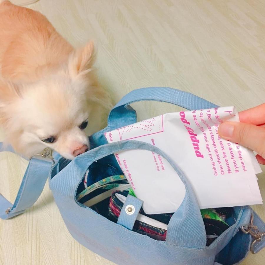 送料無料　20周年感謝祭　うんち処理袋 ぱぴぃプ―プバッグ200（ 100枚入ｘ２箱） |  | 11