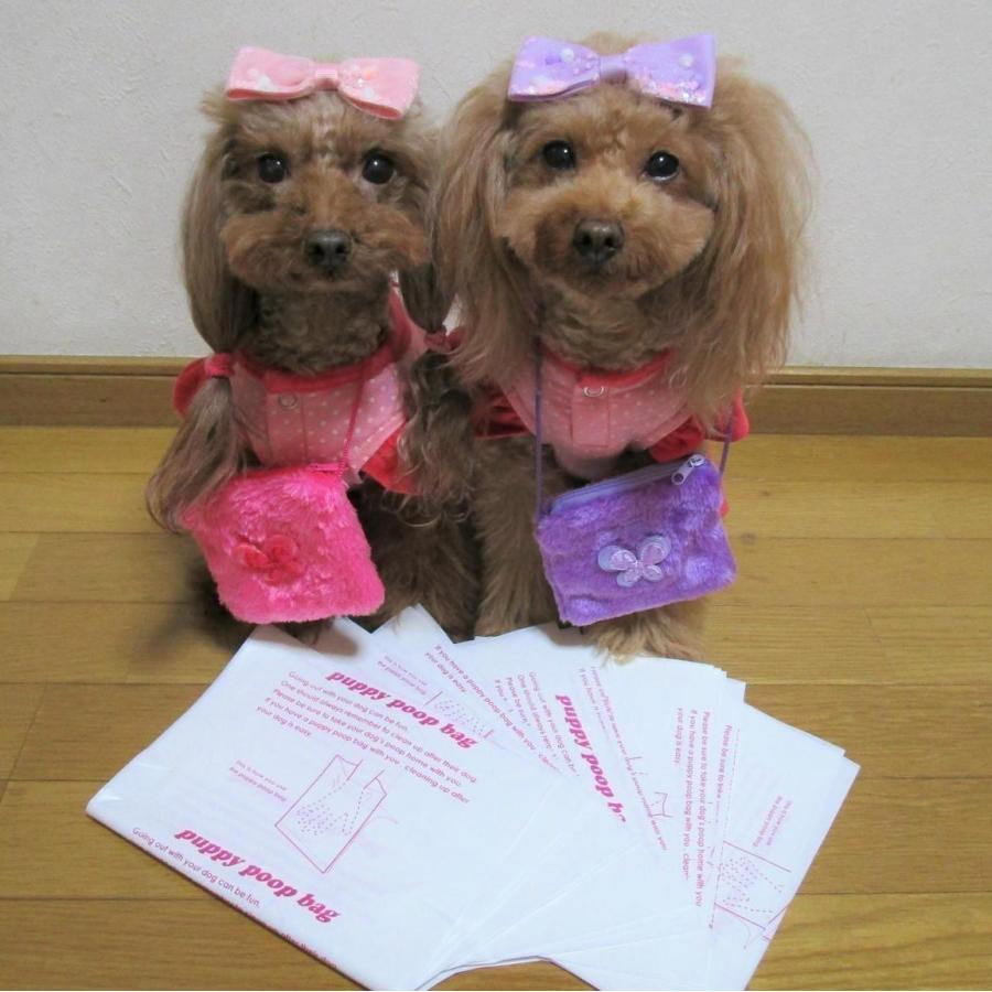 送料無料　20周年感謝祭　うんち処理袋 ぱぴぃプ―プバッグ200（ 100枚入ｘ２箱） |  | 12