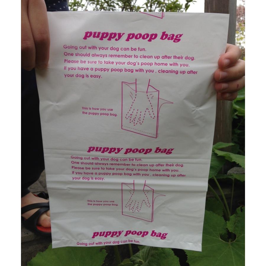 送料無料　20周年感謝祭　うんち処理袋 ぱぴぃプ―プバッグ200（ 100枚入ｘ２箱） |  | 02