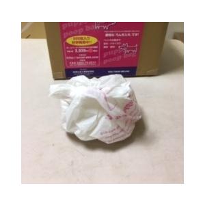 送料無料　20周年感謝祭　うんち処理袋 ぱぴぃプ―プバッグ200（ 100枚入ｘ２箱） |  | 08