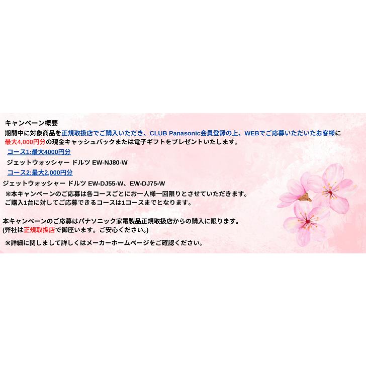 Panasonic 【キャッシュバック対象商品】パナソニック 口腔洗浄 Panasonic 【キャッシュバック対象商品】パナソニック 口腔洗浄