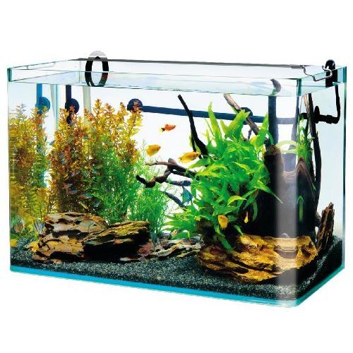 送料無料 テトラ Tetra 水槽 ラウンドオールグラスvxフィルターセット 超大特価 Www Muslimaidusa Org