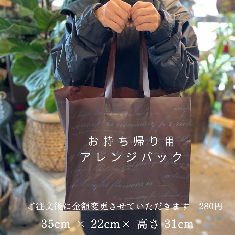 アレンジメントバックM : 花 母の日 フラワーギフト 憧れ - 通販