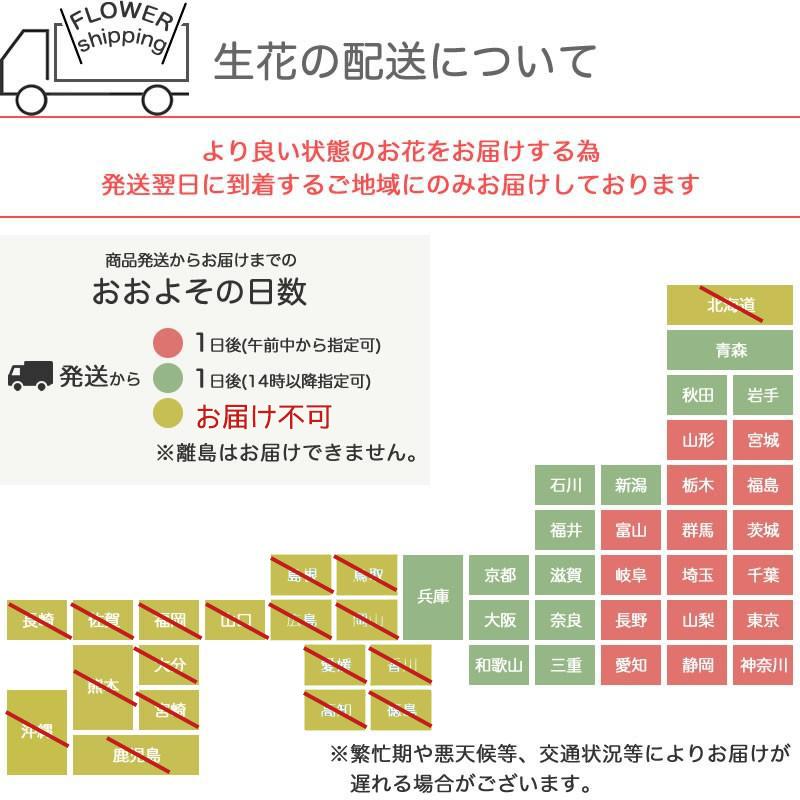 お供え 花 仏花 花キューピット 非加盟店 花束 お花 フラワーアレンジ  6 お悔やみ 新盆  生花  【日時指定可】｜akogare｜12