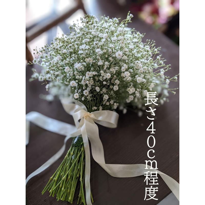ウエディングブーケ 前撮りブーケ ブーケ 結婚式 ブライダル ウエディングブーケ 前撮りブーケ ブーケ 結婚式 ブライダル