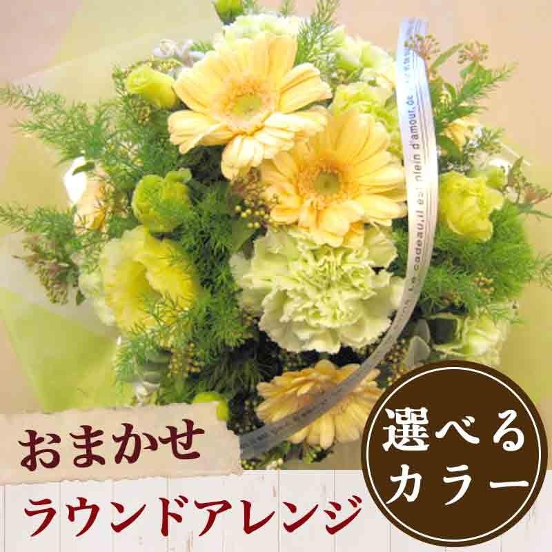 母の日 2024 ギフト 花 花キューピット 花束 開店祝い お花 フラワーアレンジ ラウンドアレンジ 誕生日 お祝い  生花 退職祝い 発表会｜akogare