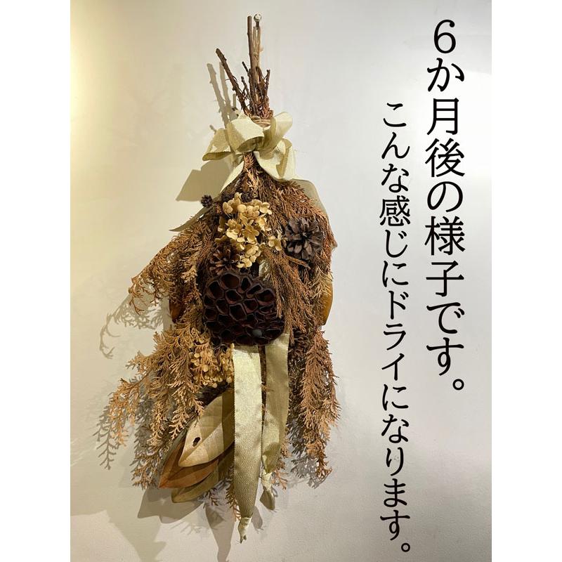 スワッグ 秋 飾り方 お祝い ドライフラワー おしゃれ スワッグと スワッグ 秋 飾り方 お祝い ドライフラワー おしゃれ スワッグと