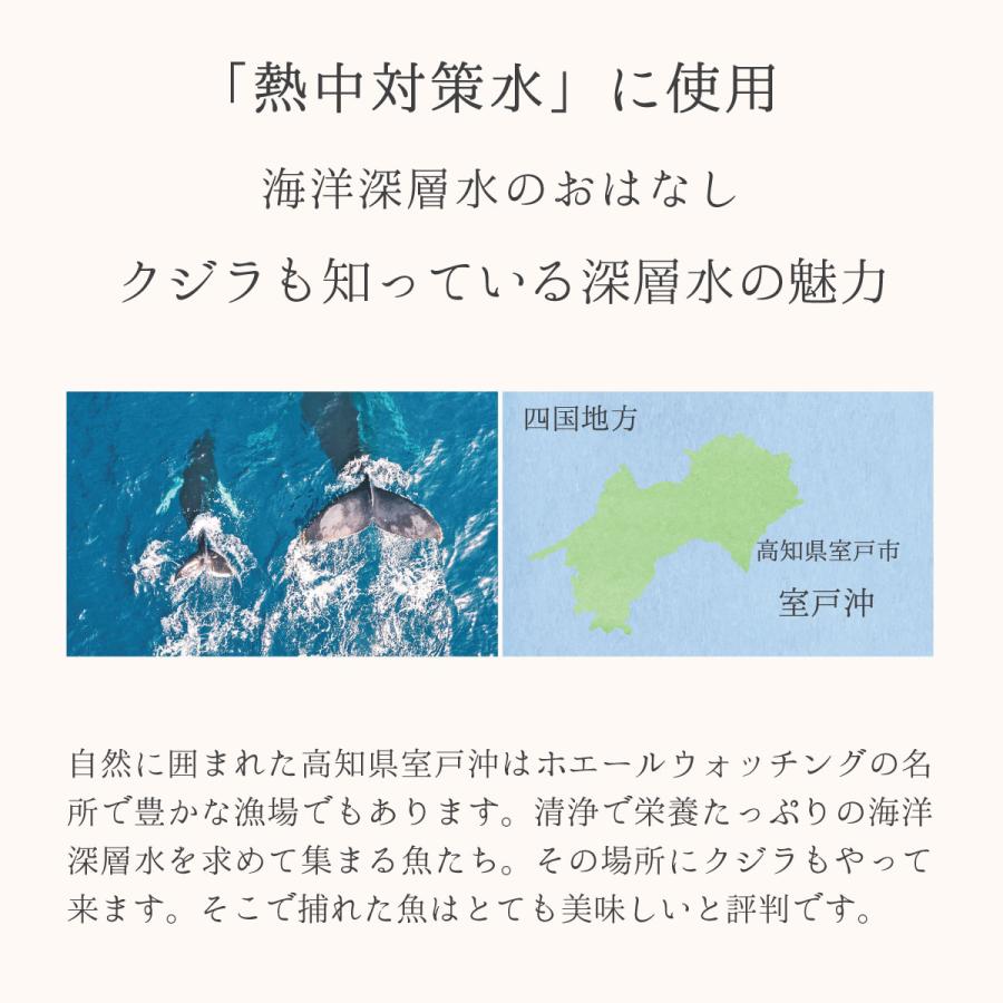 熱中対策水 レモン 500ml 1ケース 24本 海洋深層水 赤穂化成 天塩 部活動 現場作業 子供 中学生 高校生 塩分補給 カロリーゼロ 国産 スポーツ 発熱｜akol2｜13