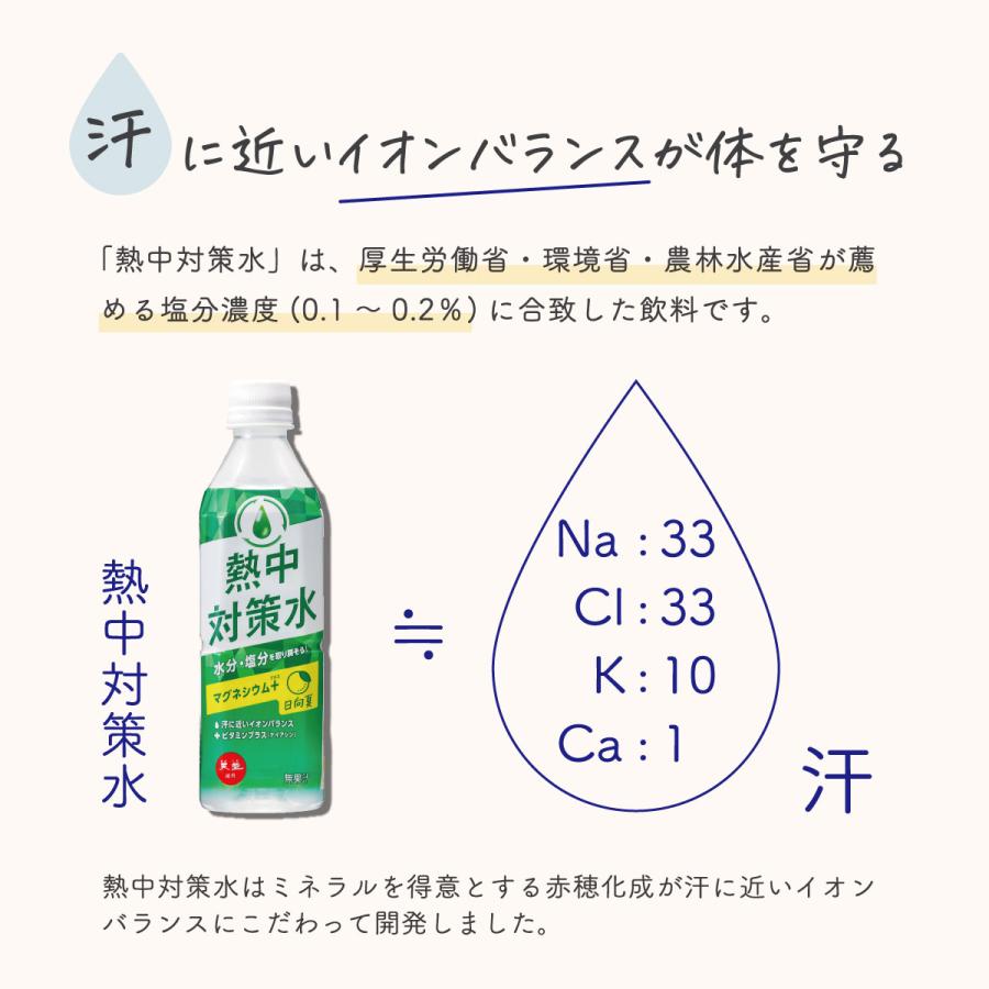 熱中対策水 日向夏味 500ml 2ケース 48本 海洋深層水 赤穂化成 天塩 部活動 現場作業 スポーツ 塩分補給 国産 夏バテ予防 ひゅうがなつ味｜akol2｜04