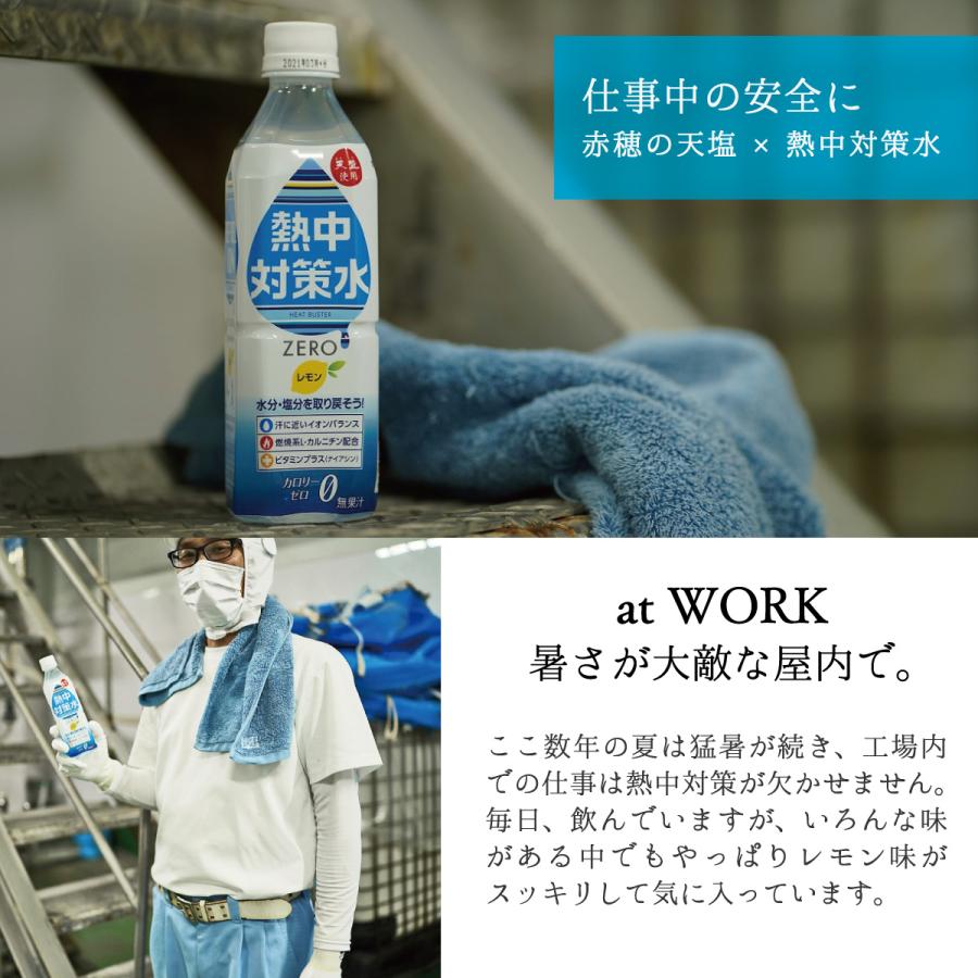 熱中対策水 アセロラ味 500ml 1ケース 24本 海洋深層水 赤穂化成 天塩 部活動 現場作業 子供 中学生 高校生 塩分補給 カロリーゼロ 国産 スポーツ 発熱｜akol2｜10