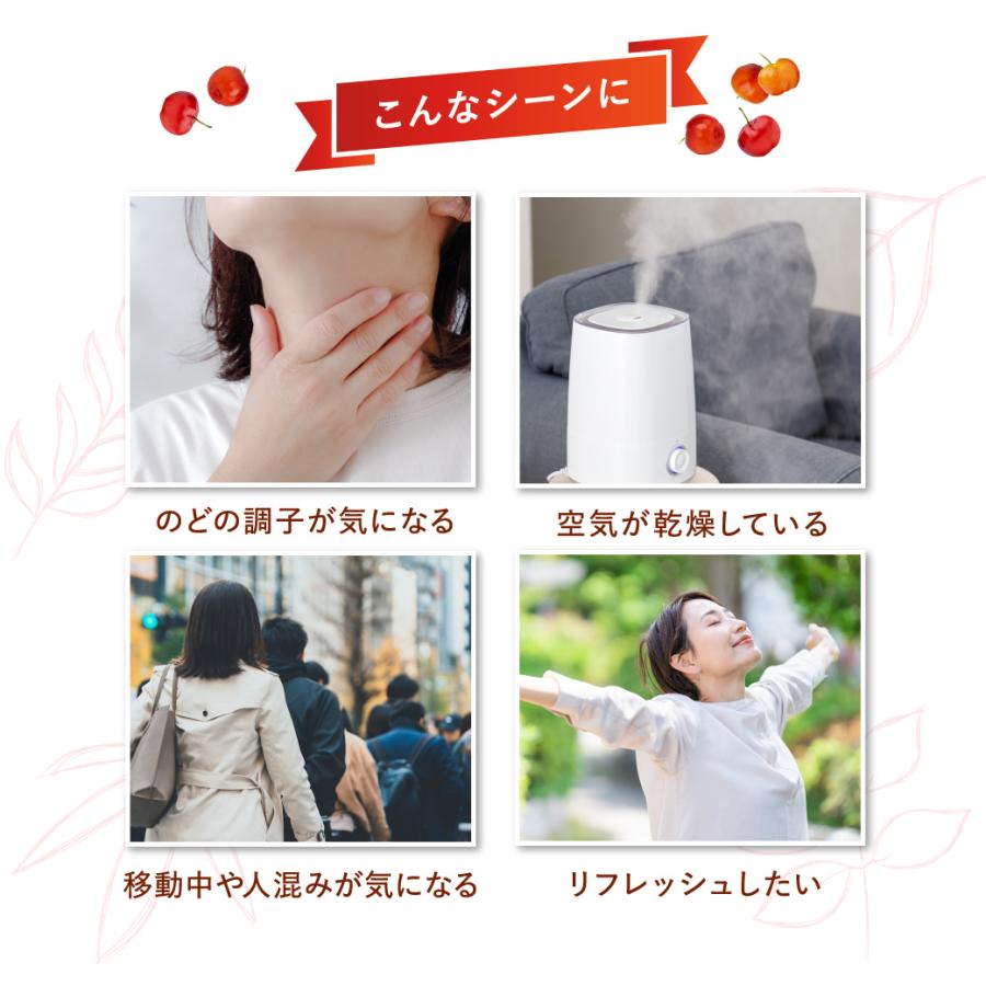 のどタブレット アセロラ味 24g 10袋 タブレット 赤穂の天塩 赤穂化成