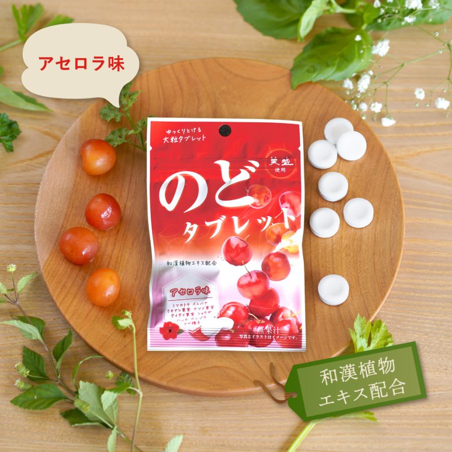 のどタブレット アセロラ味 24g タブレット 赤穂の天塩 赤穂化成