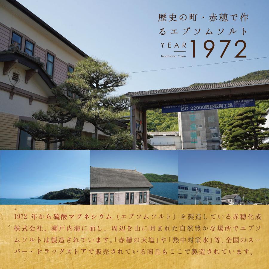 入浴剤 エプソムソルト 3kg 2袋 まとめ買い 送料無料 国産 硫酸