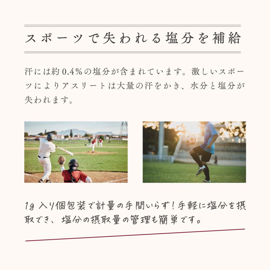 塩分補給 塩 熱中症対策 1g 100袋 20個 まとめ買い 暑さ対策 熱願成就の塩 部活 塩分チャージ 国産_1