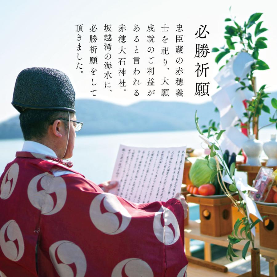 塩分補給 塩 熱中症対策 1g 100袋 20個 まとめ買い 暑さ対策 熱願成就の塩 部活 塩分チャージ 国産_3