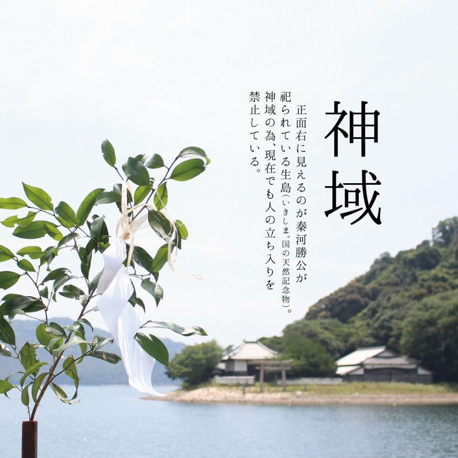 盛り塩 清めの塩 808g 3袋 国産 まとめ買い 赤穂の天塩 盛り塩の塩 大避神社 お清めの塩 お祓い 厄除け 開運 浄化 盛り塩 風水 土用の塩 | 赤穂化成 | 04