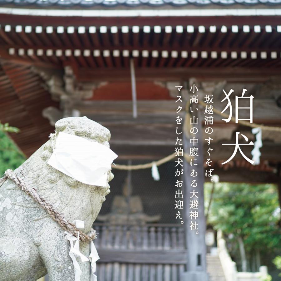 盛り塩 清めの塩 808g 8袋 国産 まとめ買い 赤穂の天塩 盛り塩の塩 大避神社 お清めの塩 お祓い 厄除け 開運 浄化 盛り塩 風水 土用の塩 | 赤穂化成 | 07