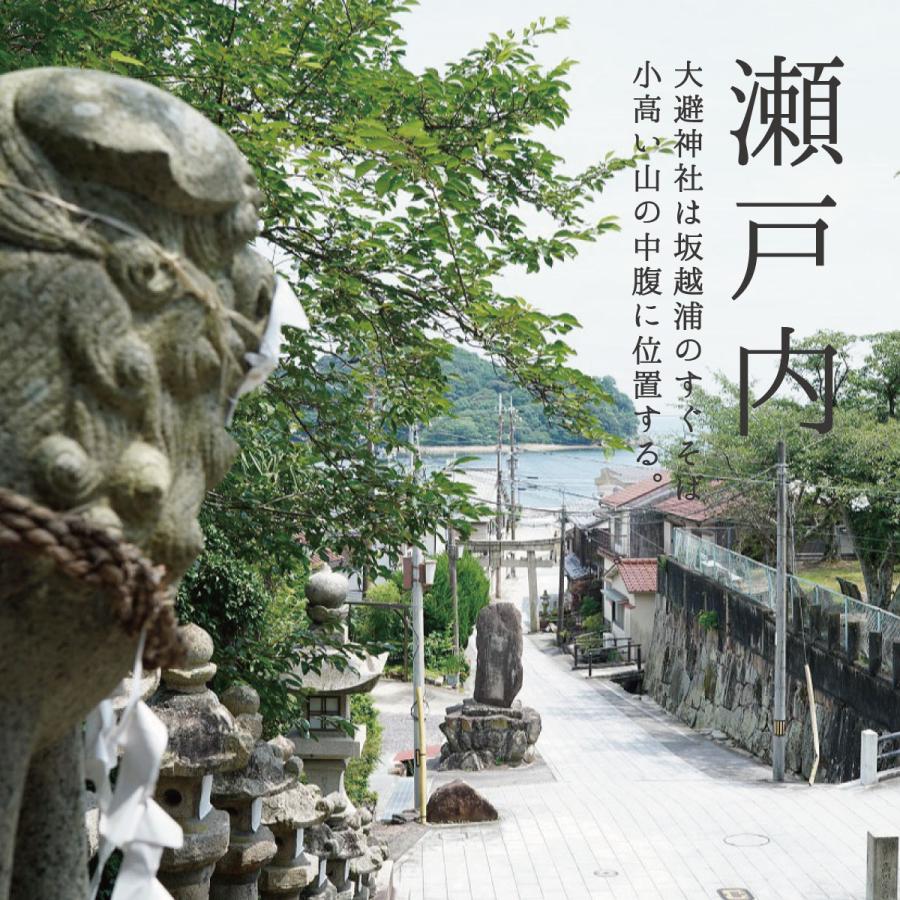 盛り塩 清めの塩 808g  国産 赤穂の天塩 盛り塩の塩 大避神社 お清めの塩 お祓い 厄除け 開運 浄化 盛り塩 風水 土用の塩 | 赤穂化成 | 11