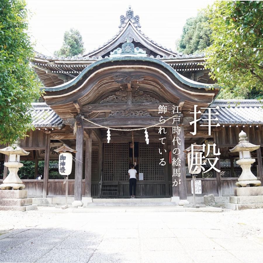 盛り塩 清めの塩 808g  国産 赤穂の天塩 盛り塩の塩 大避神社 お清めの塩 お祓い 厄除け 開運 浄化 盛り塩 風水 土用の塩 | 赤穂化成 | 08