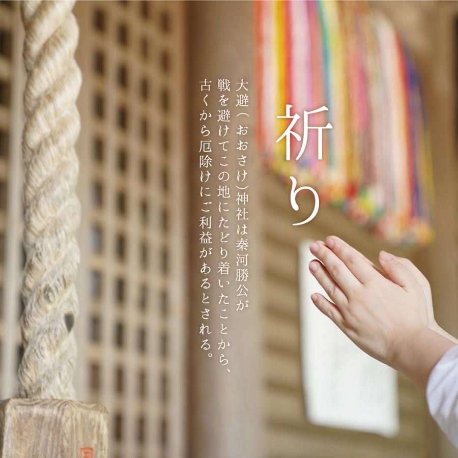 盛り塩 清めの塩 808g  国産 赤穂の天塩 盛り塩の塩 大避神社 お清めの塩 お祓い 厄除け 開運 浄化 盛り塩 風水 土用の塩 | 赤穂化成 | 09