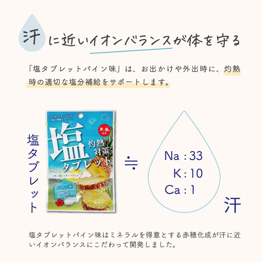 塩分補給 タブレット パイン味 28g 6袋 まとめ買い 赤穂の天塩 赤穂化成 熱中対策｜akol2｜03