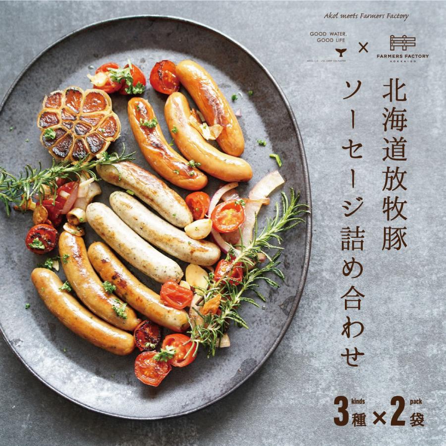 ソーセージ 北海道 詰め合わせ 100g 3種類 2袋 6袋セット 放牧豚 無